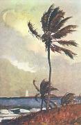 Winslow Homer Palm Tree, Nassau USA oil painting reproduction